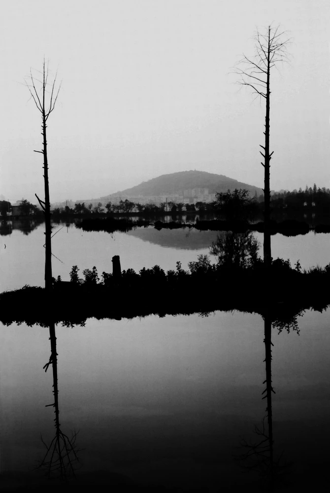 Two leafless trees reflected in still water at dusk, framing a distant hillside and shoreline in a quiet black and white landscape.